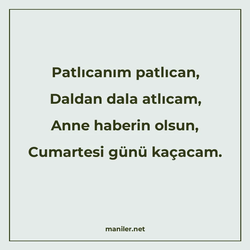 Patlıcanım patlıcan, Daldan dala atlıcam, Anne haberin olsun manisi görseli