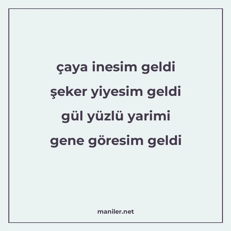 çaya inesim geldi şeker yiyesim geldi gül yüzlü yarimi gene manisi görseli