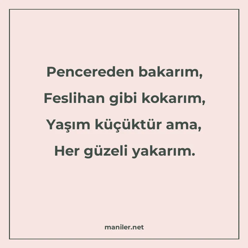Pencereden bakarım, Feslihan gibi kokarım, Yaşım küçüktür am manisi görseli
