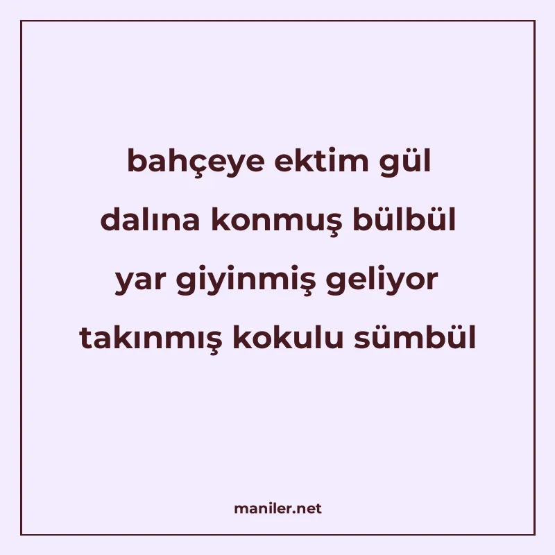 bahçeye ektim gül dalına konmuş bülbül yar giyinmiş geliyor manisi görseli