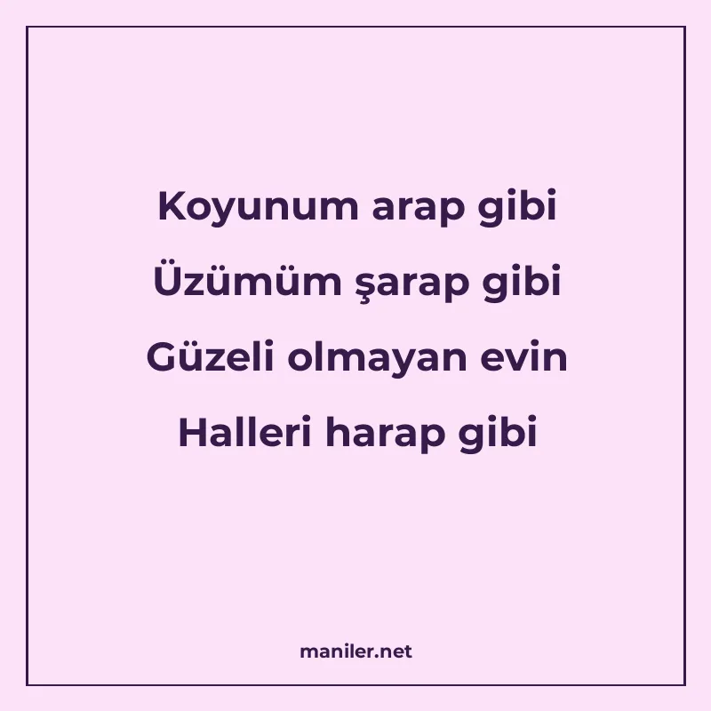 Koyunum arap gibi Üzümüm şarap gibi Güzeli olmayan evin Hall manisi görseli