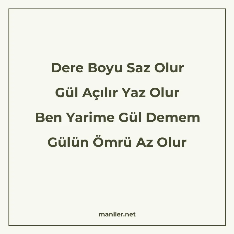 Dere Boyu Saz Olur Gül Açılır Yaz Olur Ben Yarime Gül Demem manisi görseli