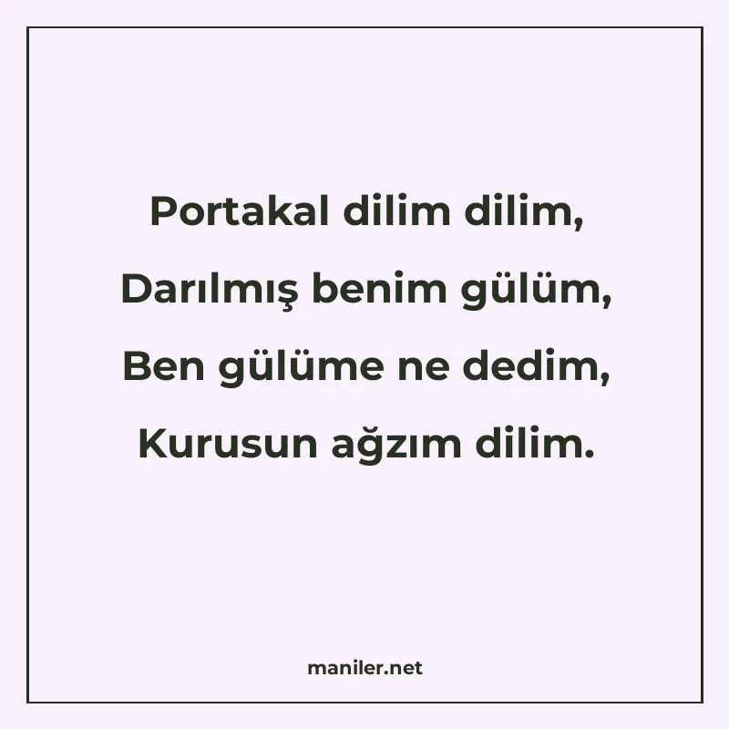 Portakal dilim dilim, Darılmış benim gülüm, Ben gülüme ne de manisi görseli