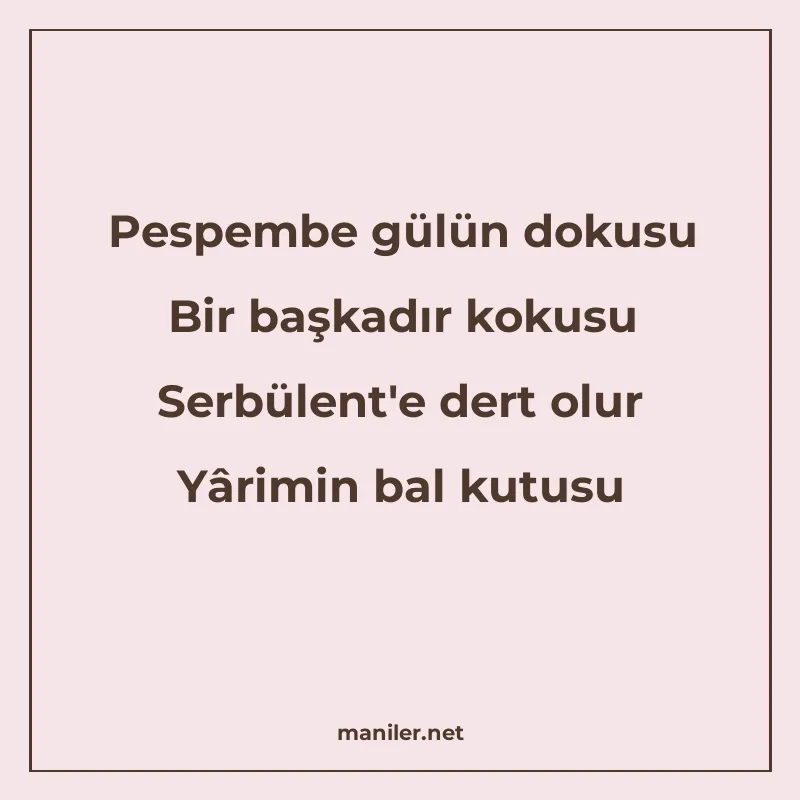 Pespembe gülün dokusu Bir başkadır kokusu Serbülent'e d manisi görseli