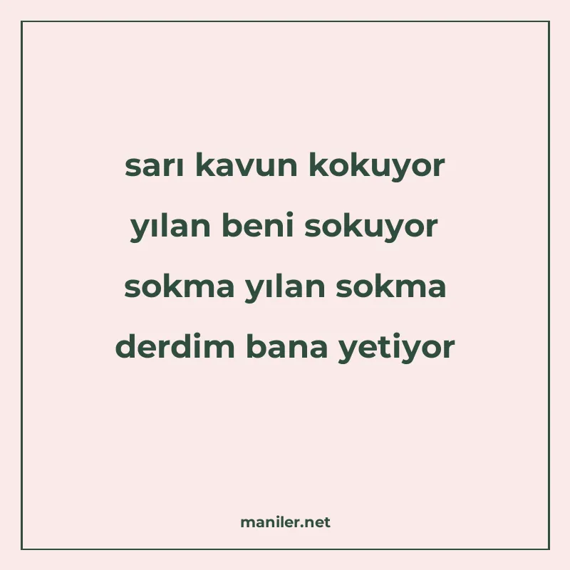 sarı kavun kokuyor yılan beni sokuyor sokma yılan sokma derd manisi görseli