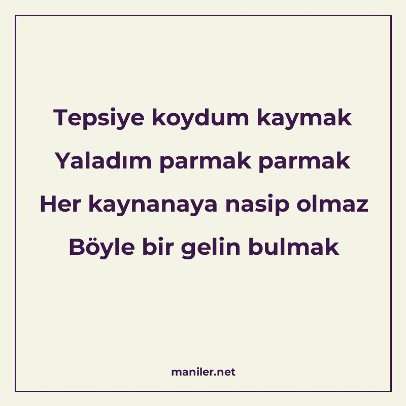 Tepsiye koydum kaymak Yaladım parmak parmak Her kaynanaya na manisi görseli