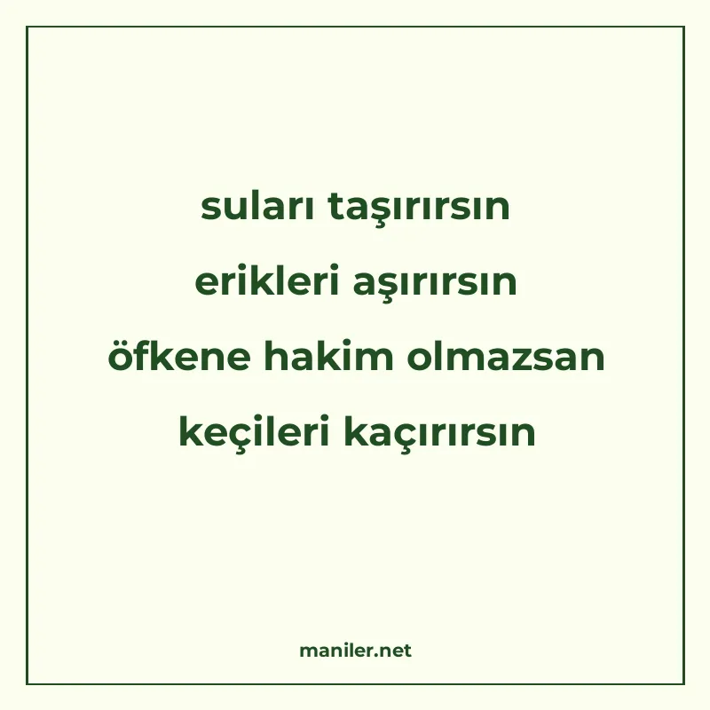 suları taşırırsın erikleri aşırırsın öfkene hakim olmazsan k manisi görseli