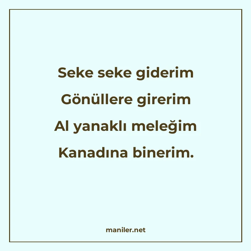 Seke seke giderim Gönüllere girerim Al yanaklı meleğim Kanad manisi görseli