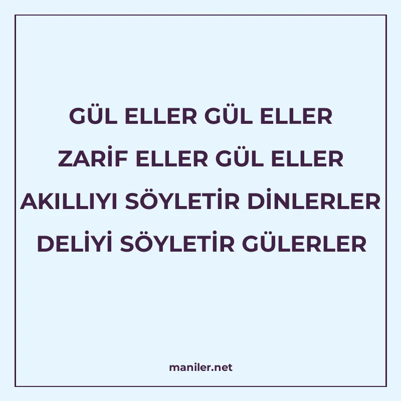 GÜL ELLER GÜL ELLER ZARİF ELLER GÜL ELLER AKILLIYI SÖYLETİR manisi görseli