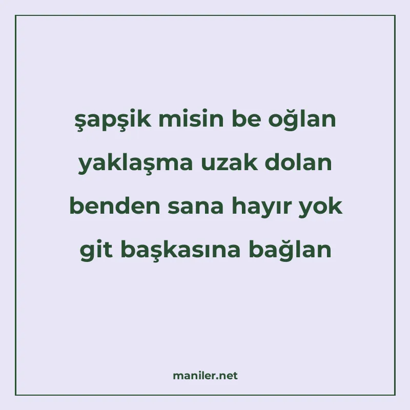şapşik misin be oğlan yaklaşma uzak dolan benden sana hayır manisi görseli