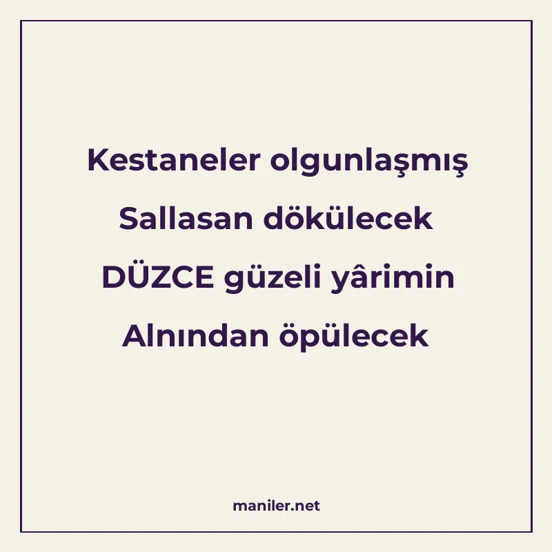 Kestaneler olgunlaşmış Sallasan dökülecek DÜZCE güzeli yârim manisi görseli