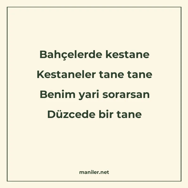 Bahçelerde kestane Kestaneler tane tane Benim yari sorarsan  manisi görseli