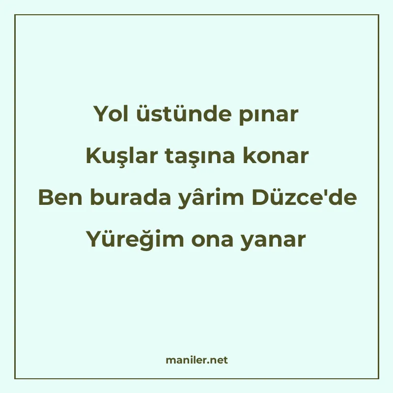 Yol üstünde pınar Kuşlar taşına konar Ben burada yârim Düzce manisi görseli