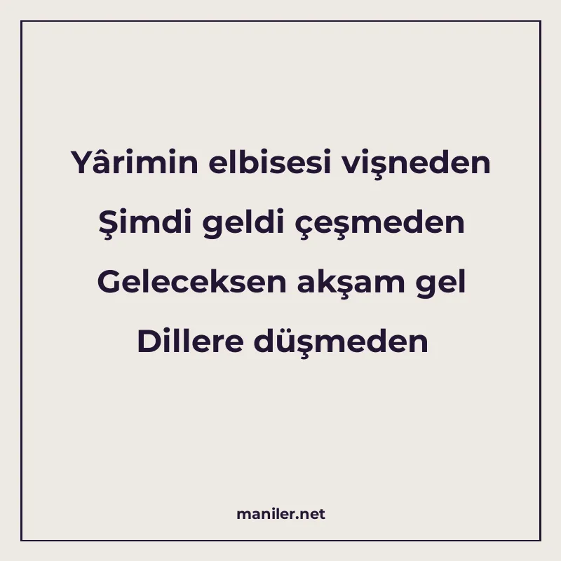 Yârimin elbisesi vişneden Şimdi geldi çeşmeden Geleceksen ak manisi görseli