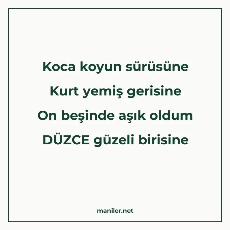 Koca koyun sürüsüne Kurt yemiş gerisine On beşinde aşık oldu manisi görseli
