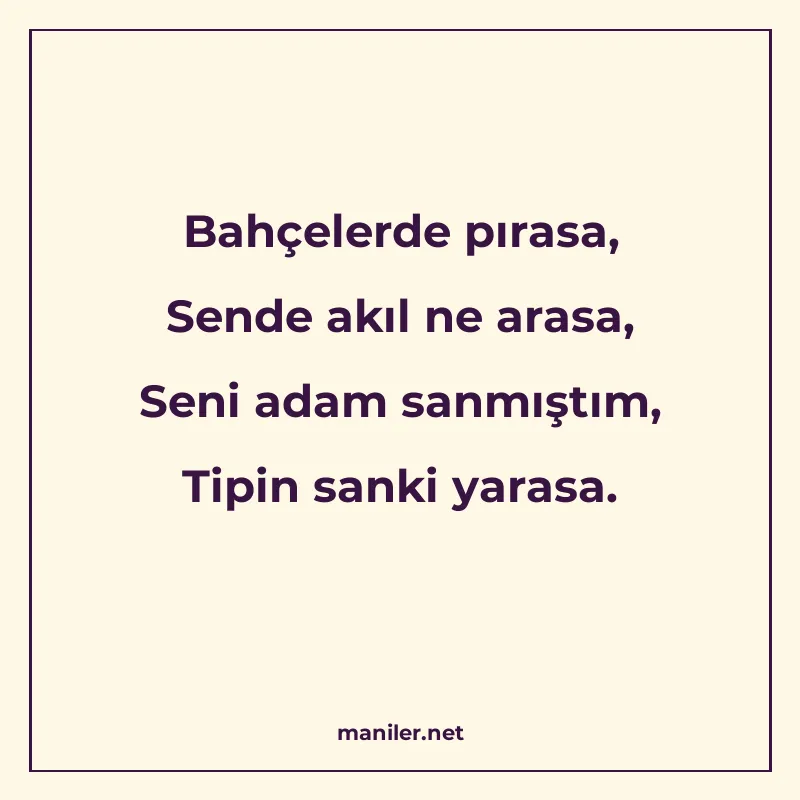 Bahçelerde pırasa, Sende akıl ne arasa, Seni adam sanmıştım manisi görseli