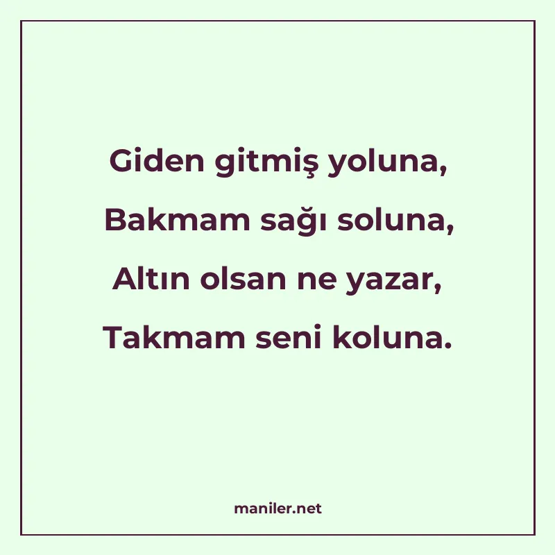Giden gitmiş yoluna, Bakmam sağı soluna, Altın olsan ne yaza manisi görseli