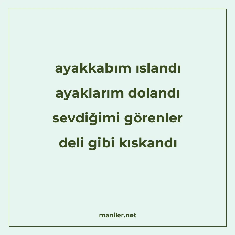 ayakkabım ıslandı ayaklarım dolandı sevdiğimi görenler deli  manisi görseli