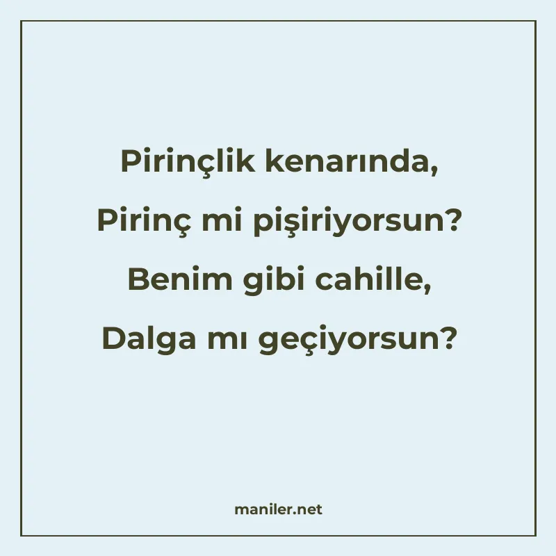 Pirinçlik kenarında, Pirinç mi pişiriyorsun? Benim gibi cahi
