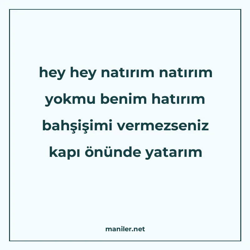 hey hey natırım natırım yokmu benim hatırım bahşişimi vermez manisi görseli