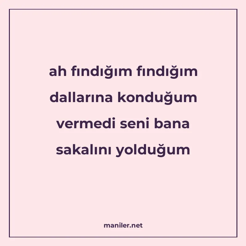 ah fındığım fındığım dallarına konduğum vermedi seni bana sa manisi görseli