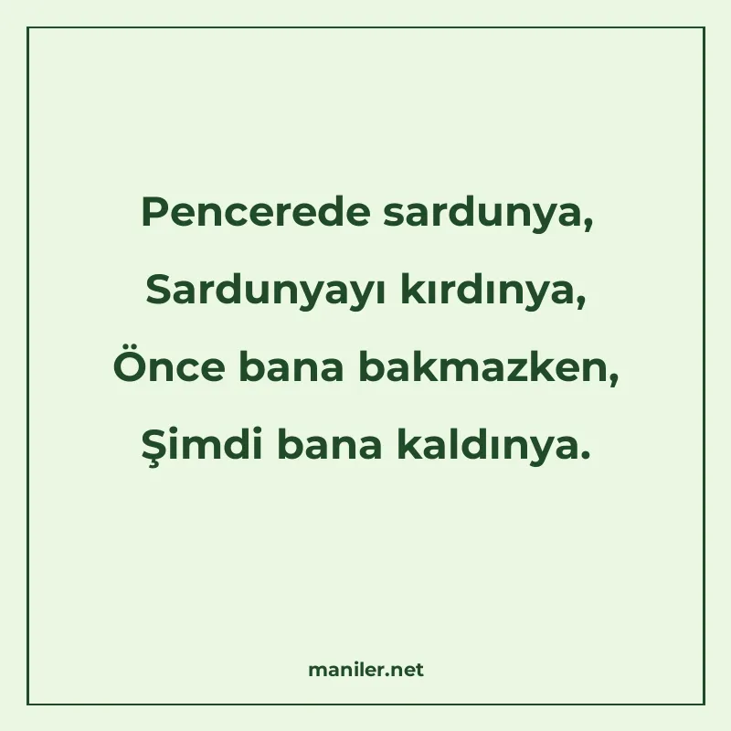 Pencerede sardunya, Sardunyayı kırdınya, Önce bana bakmazken manisi görseli