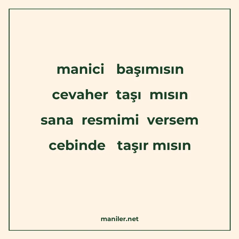 manici başımısın cevaher taşı mısın sana resmimi versem cebi manisi görseli