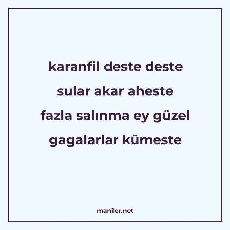 karanfil deste deste sular akar aheste fazla salınma ey güze manisi görseli