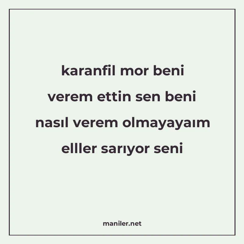 karanfil mor beni verem ettin sen beni nasıl verem olmayayaı manisi görseli