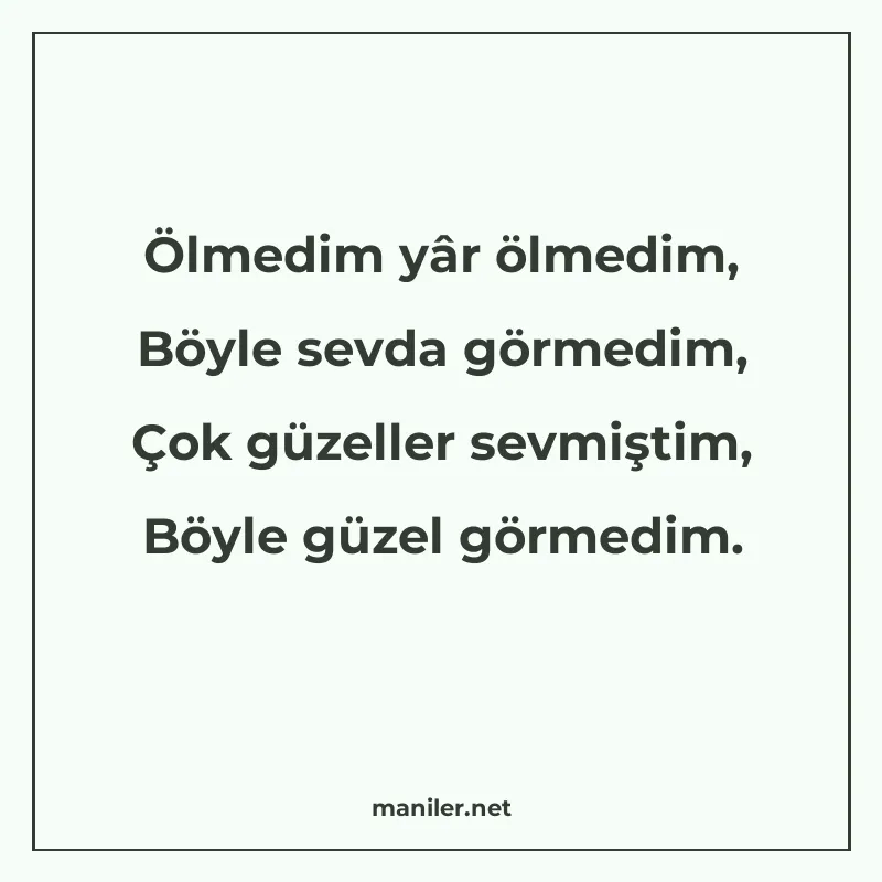 Ölmedim yâr ölmedim, Böyle sevda görmedim, Çok güzeller sevm manisi görseli