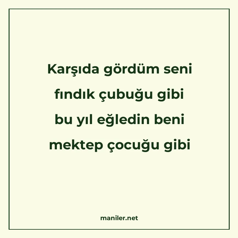 Karşıda gördüm seni fındık çubuğu gibi bu yıl eğledin beni m manisi görseli