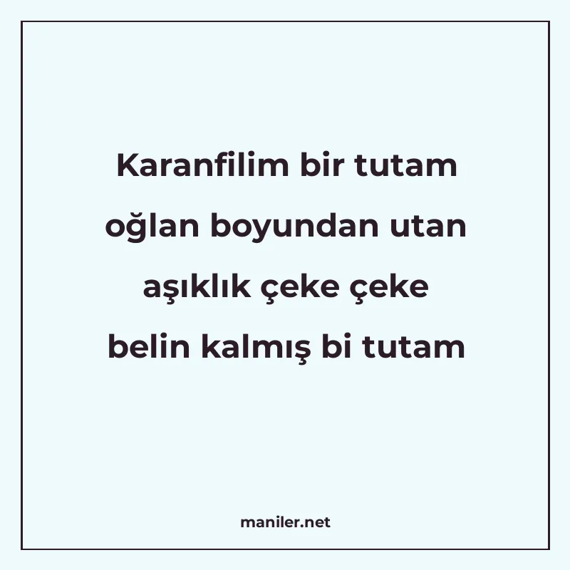 Karanfilim bir tutam oğlan boyundan utan aşıklık çeke çeke b manisi görseli