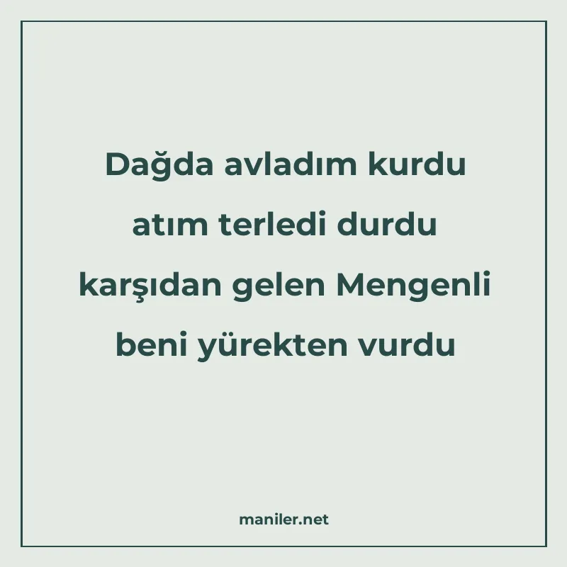 Dağda avladım kurdu atım terledi durdu karşıdan gelen Mengen manisi görseli