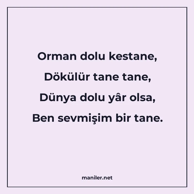 Orman dolu kestane, Dökülür tane tane, Dünya dolu yâr olsa manisi görseli