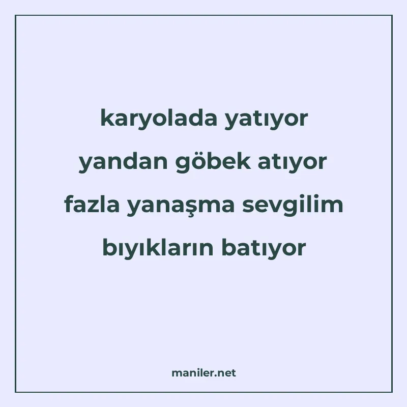 karyolada yatıyor yandan göbek atıyor fazla yanaşma sevgilim manisi görseli