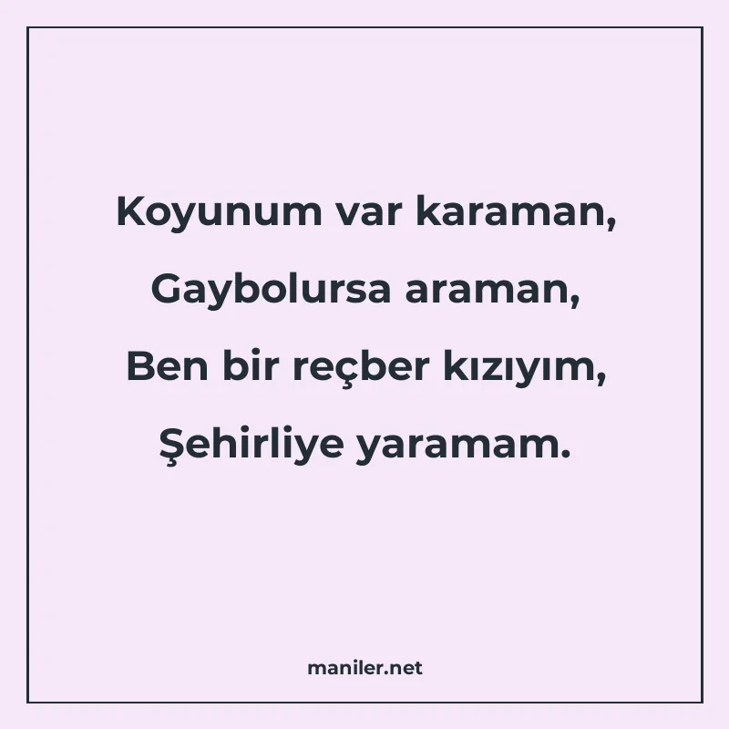 Koyunum var karaman, Gaybolursa araman, Ben bir reçber kızıy manisi görseli