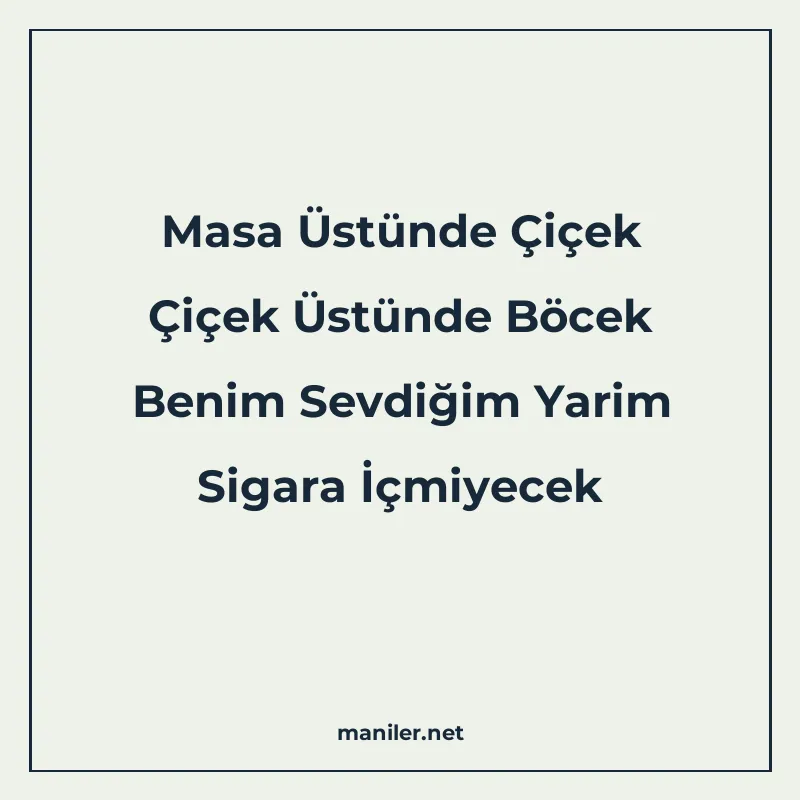 Masa Üstünde Çiçek Çiçek Üstünde Böcek Benim Sevdiğim Yarim manisi görseli
