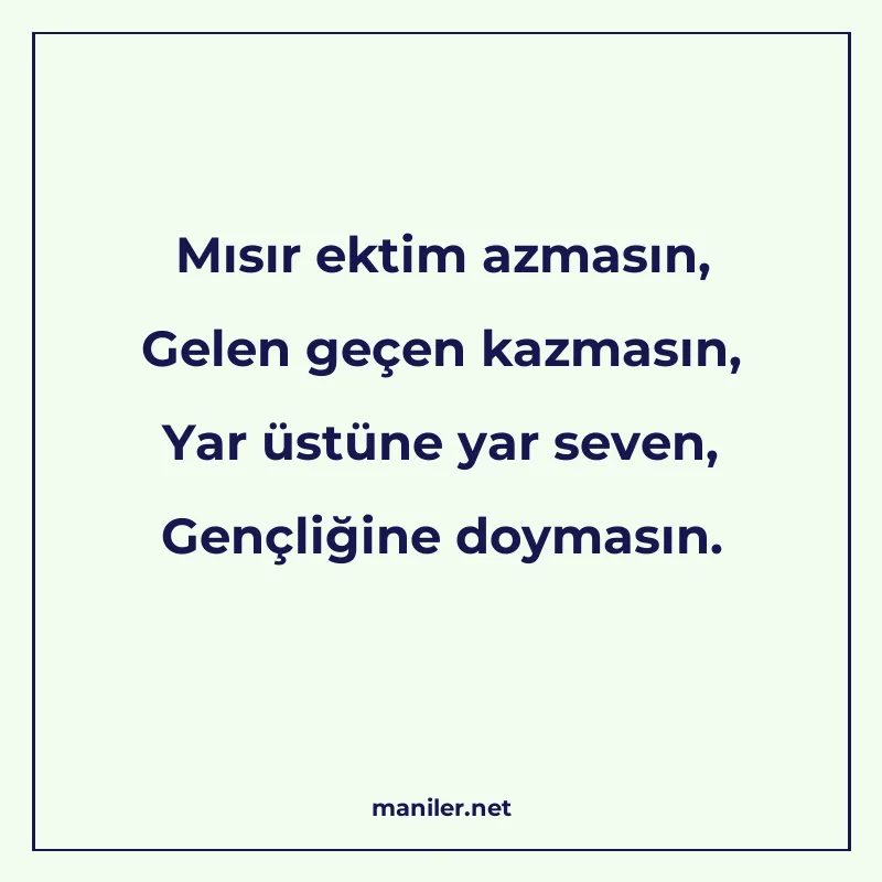 Mısır ektim azmasın, Gelen geçen kazmasın, Yar üstüne yar se manisi görseli