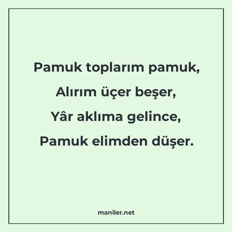Pamuk toplarım pamuk, Alırım üçer beşer, Yâr aklıma gelince manisi görseli