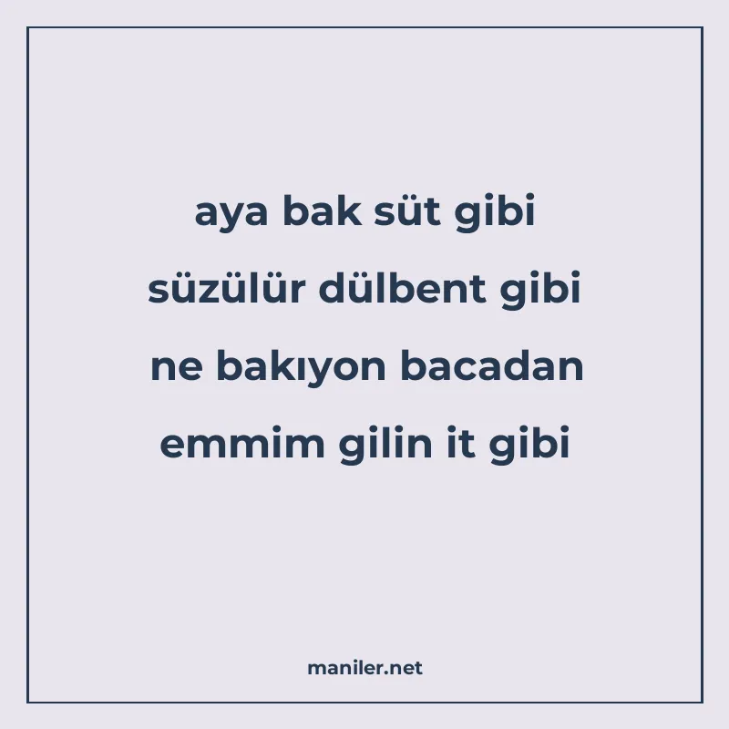 aya bak süt gibi süzülür dülbent gibi ne bakıyon bacadan emm manisi görseli