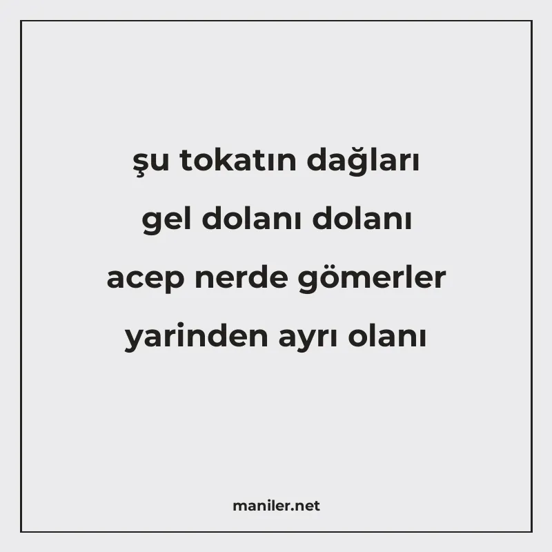 şu tokatın dağları gel dolanı dolanı acep nerde gömerler yar manisi görseli
