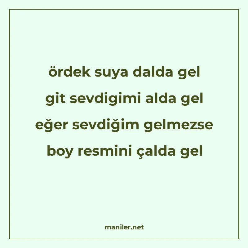 ördek suya dalda gel git sevdigimi alda gel eğer sevdiğim ge manisi görseli