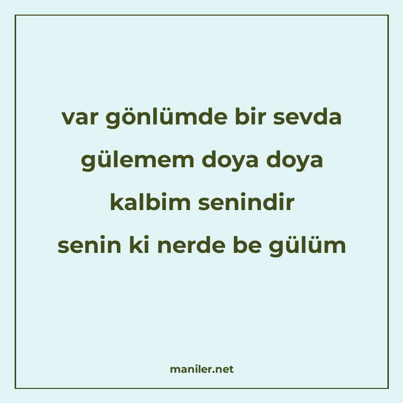 var gönlümde bir sevda gülemem doya doya kalbim senindir sen manisi görseli