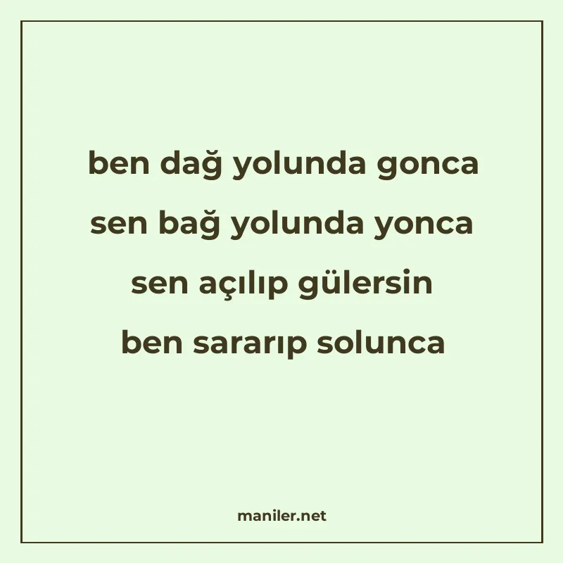 ben dağ yolunda gonca sen bağ yolunda yonca sen açılıp güler manisi görseli