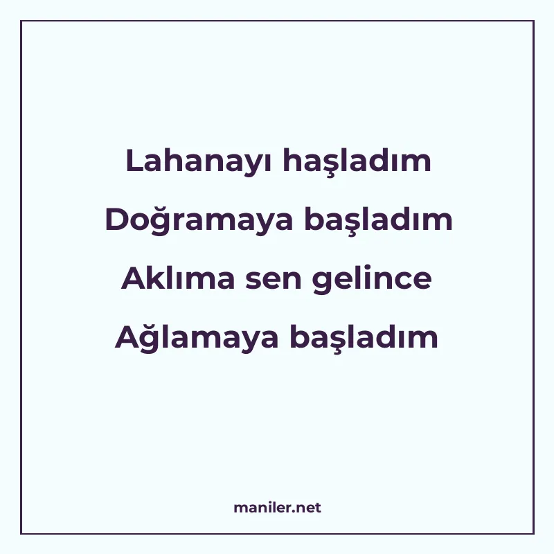 Lahanayı haşladım Doğramaya başladım Aklıma sen gelince Ağla manisi görseli