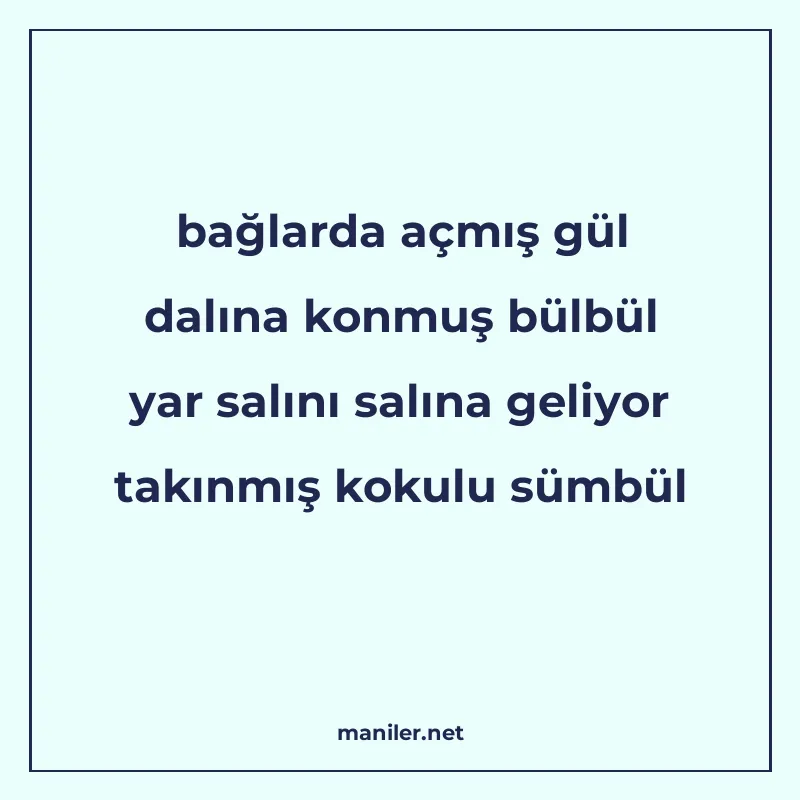 bağlarda açmış gül dalına konmuş bülbül yar salını salına ge manisi görseli