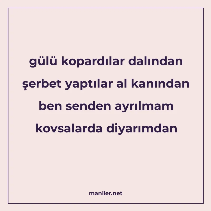 gülü kopardılar dalından şerbet yaptılar al kanından ben sen manisi görseli