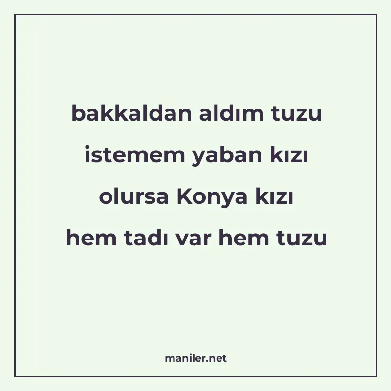 bakkaldan aldım tuzu istemem yaban kızı olursa Konya kızı he manisi görseli