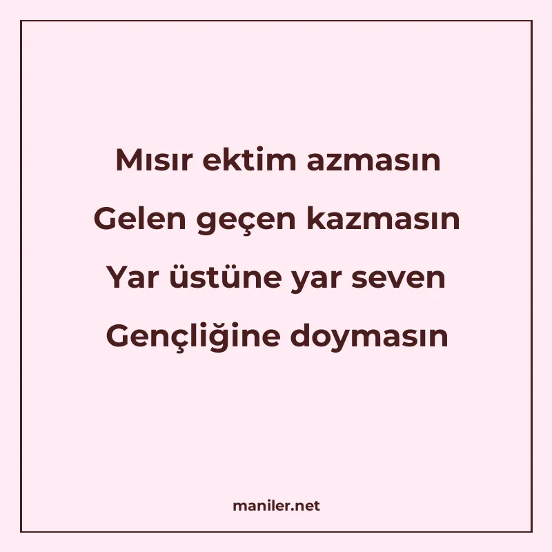 Mısır ektim azmasın Gelen geçen kazmasın Yar üstüne yar seve manisi görseli