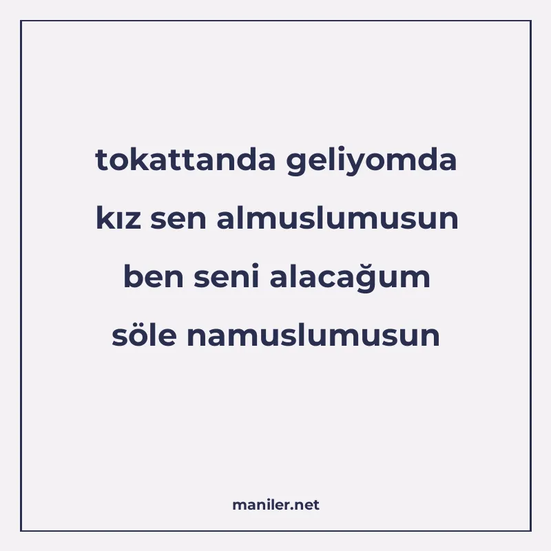 tokattanda geliyomda kız sen almuslumusun ben seni alacağum manisi görseli